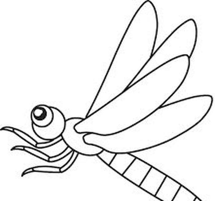 hình tô màu chuồn chuồn dễ học
