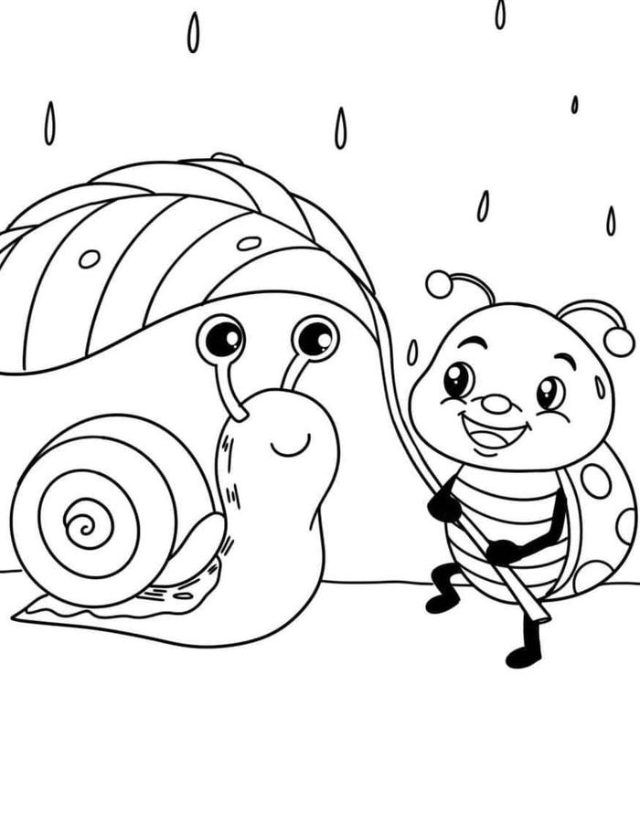 hình tô màu con bọ rùa và ốc sen