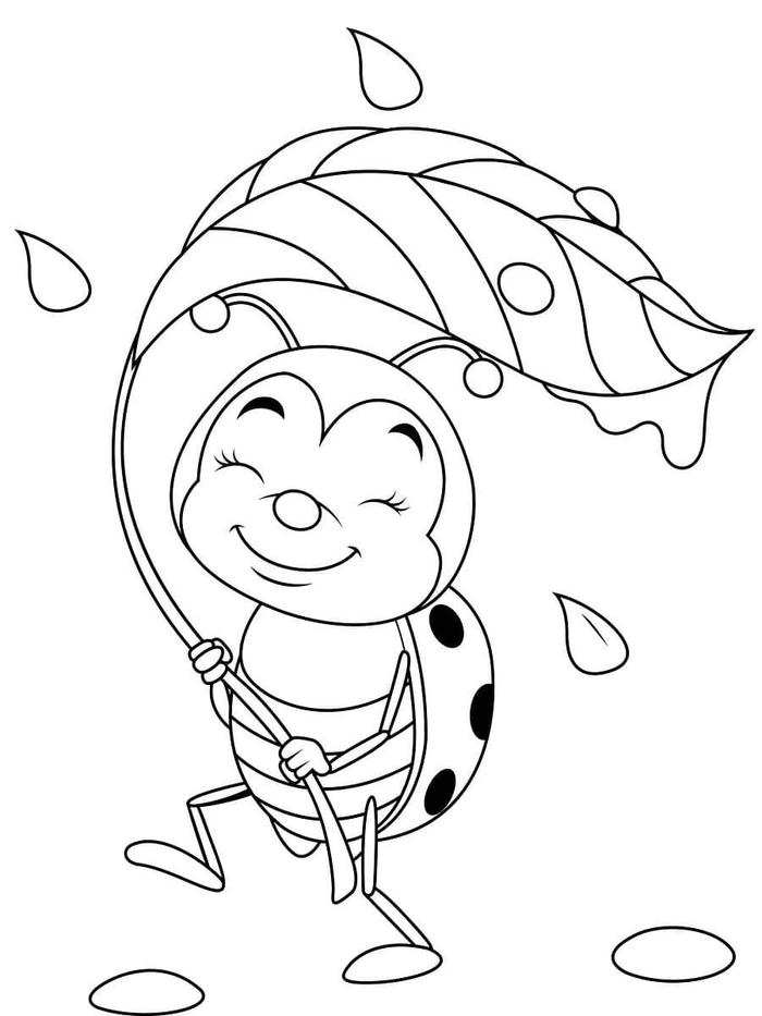 hình vẽ bọ rùa có những đốm tròn trên lưng