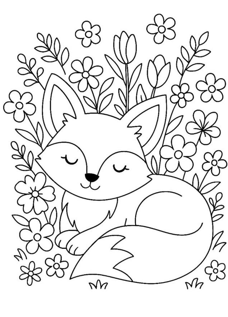 tô màu con cáo dễ tô đẹp