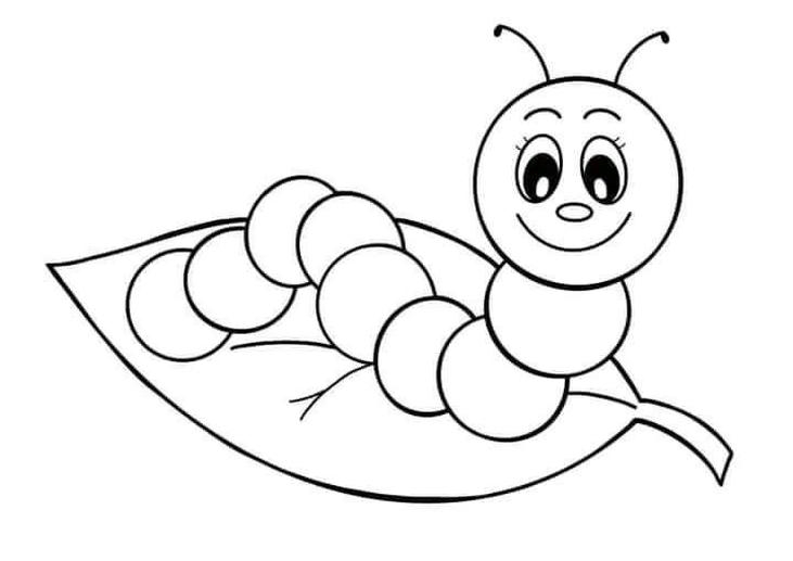 tô màu con sâu phù hợp trẻ