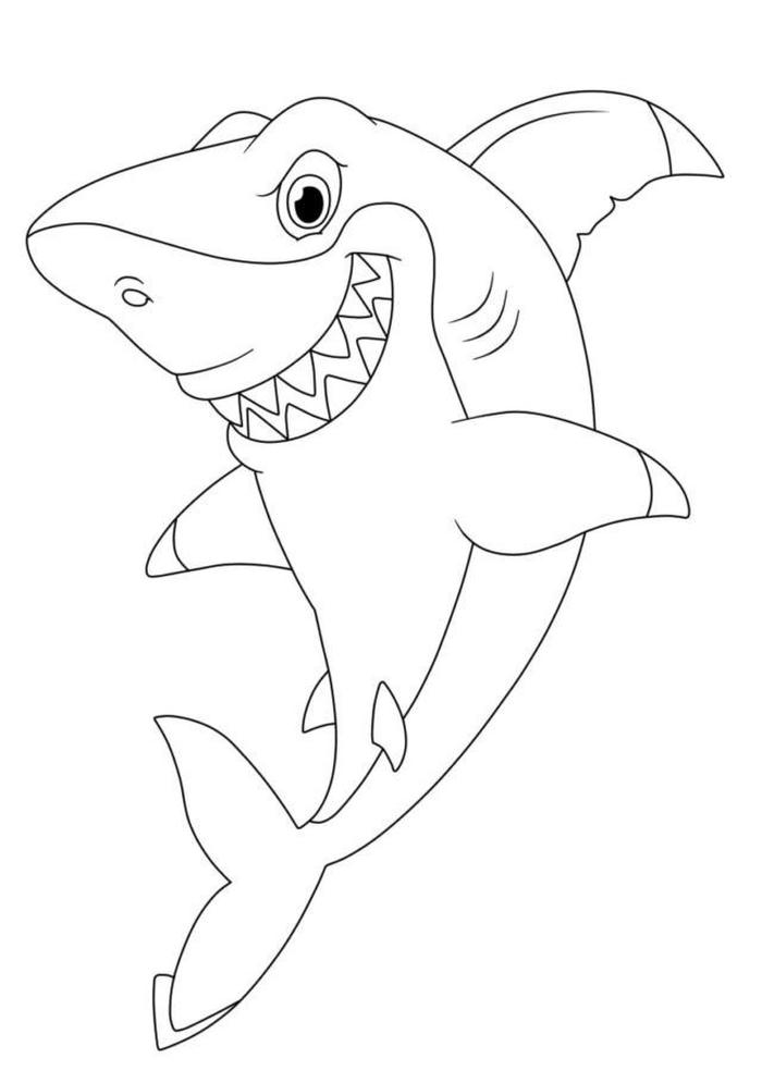 tranh cá mập cho bé tô