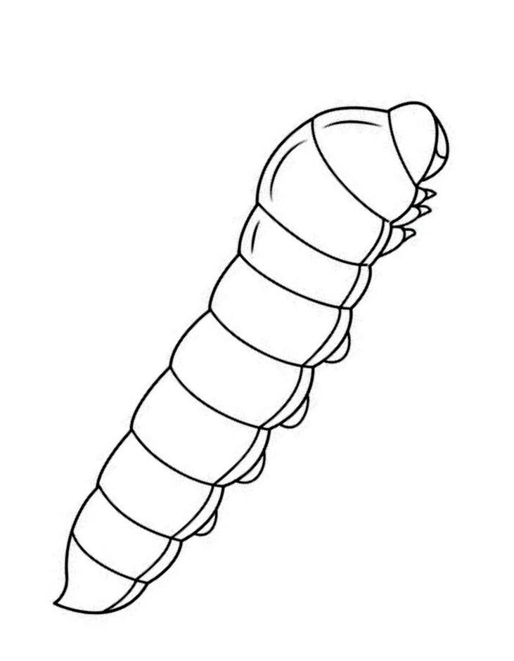 tranh tô màu con sâu mầm non