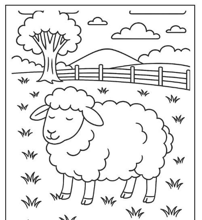 tranh tô màu con vật hình con cừu