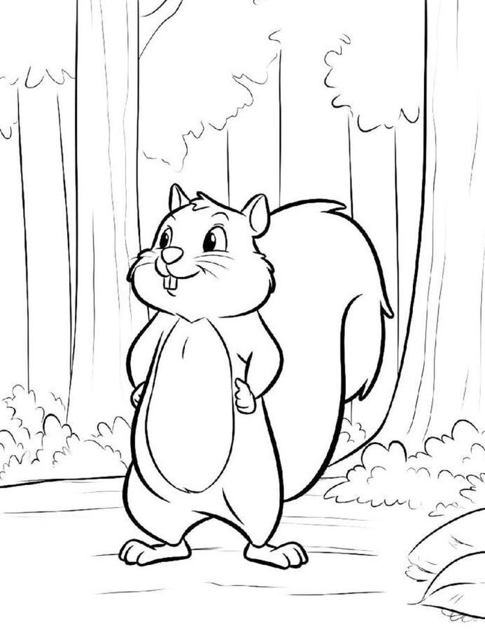 ảnh tô màu con sóc có bộ lông mượt