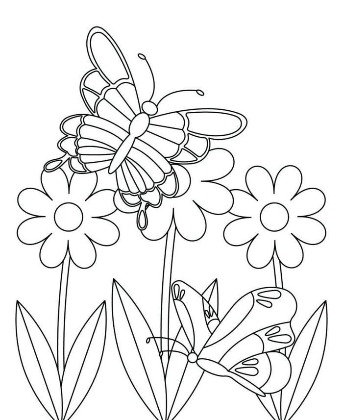 ảnh tranh tô màu bướm kiểu dáng đơn