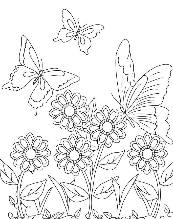 ảnh tranh tô màu con bướm nhiều chi tiết