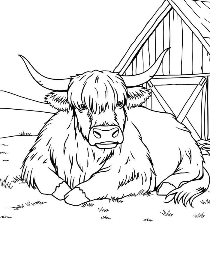 ảnh tranh tô màu trâu dáng vẻ lầm lì