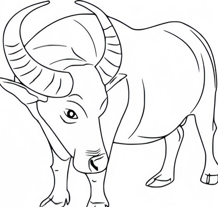 ảnh tranh tô màu trâu sừng dài