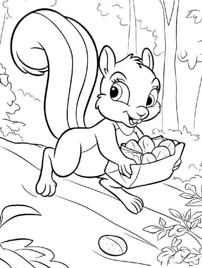 hình ảnh tô màu sóc chăm chỉ nhặt hạt