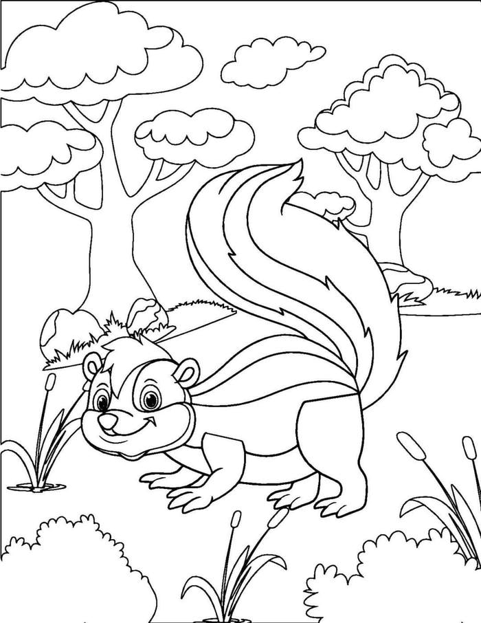 hình ảnh tô màu sóc nhảy nhót