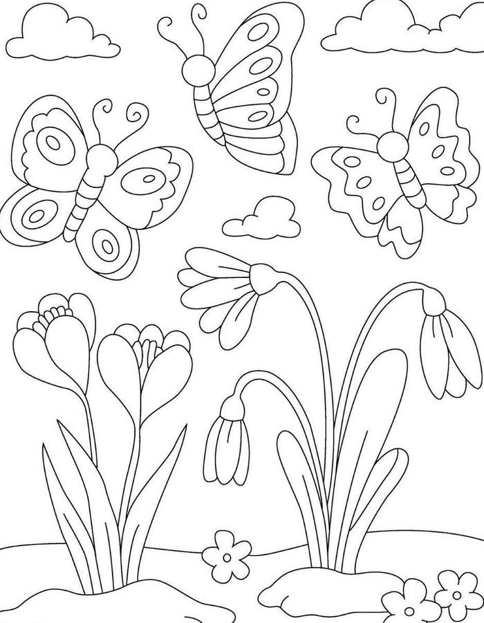 hình ảnh tranh tô màu bướm và các loài hoa