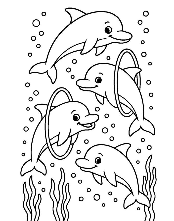 hình ảnh tranh tô màu cá heo giải trí