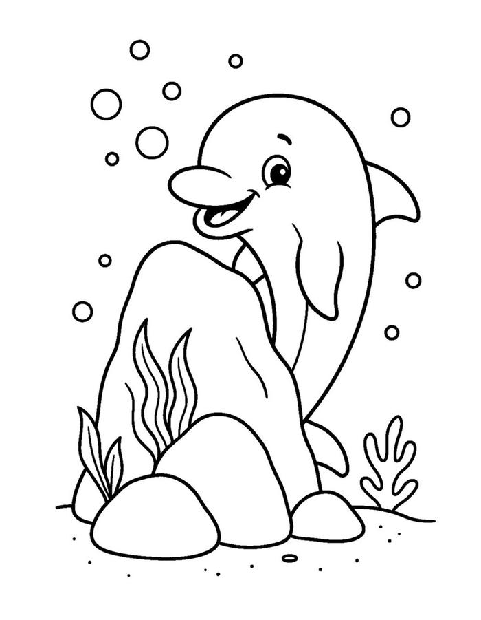 hình ảnh tranh tô màu cá heo mỉm cười