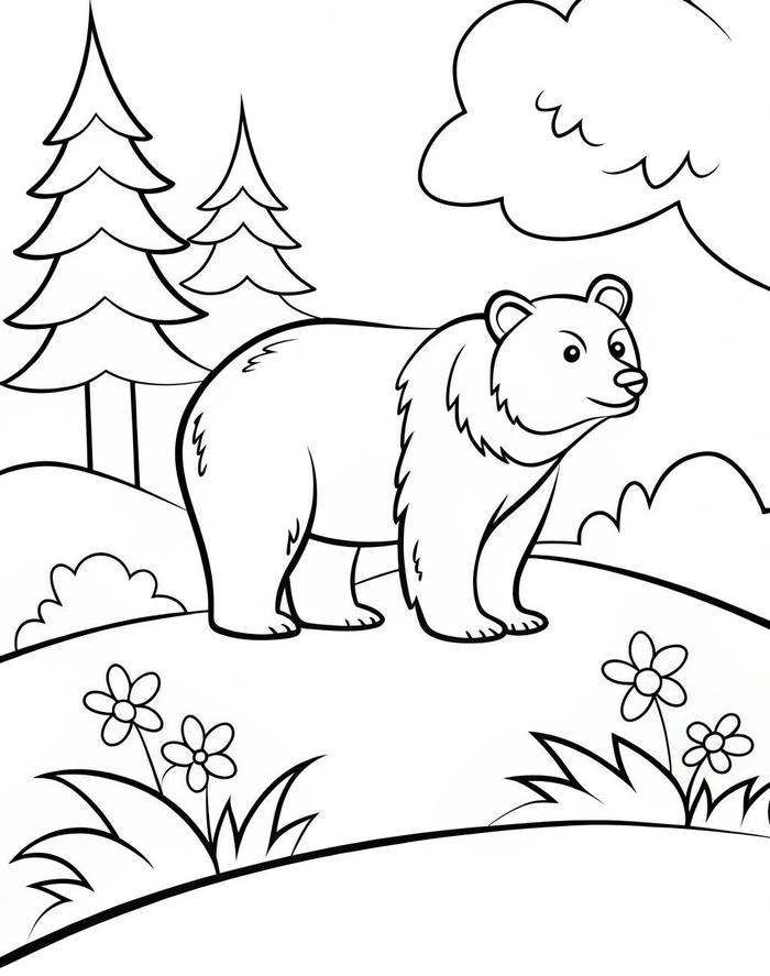 hình ảnh tranh tô màu con gấu trong rừng thông