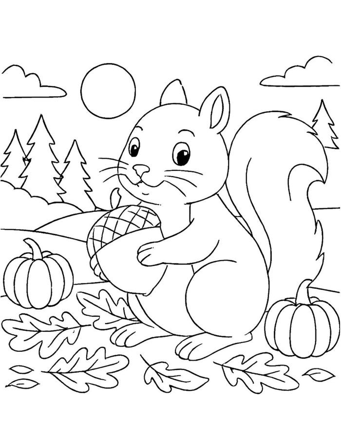 hình ảnh tranh tô màu con sóc đẹp