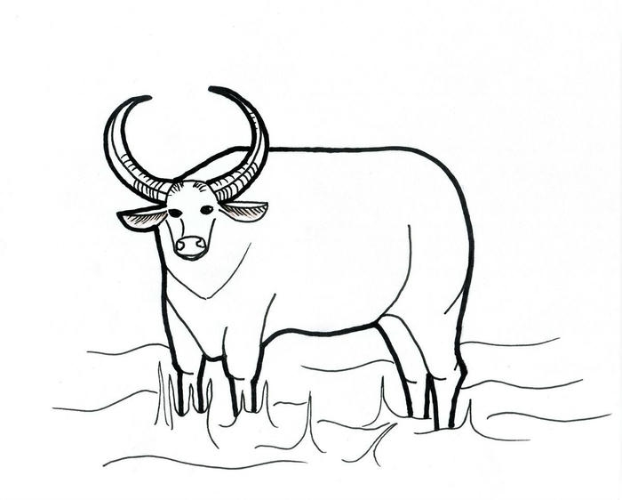 hình ảnh tranh tô màu con trâu dân gian