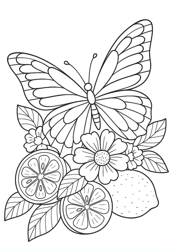 hình ảnh tranh vẽ con bướm chưa tô màu sắc