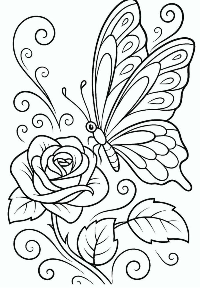 hình ảnh vẽ bướm tô màu cho bé