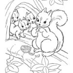 hình ảnh vẽ sóc đen trắng cho bé tô