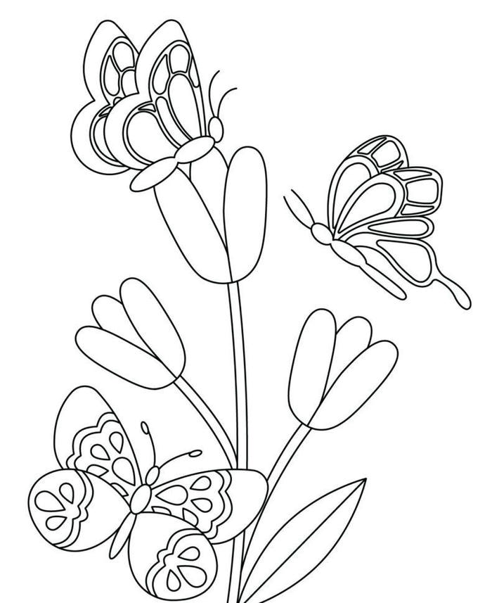 hình tô con bướm thỏa sức đam mê