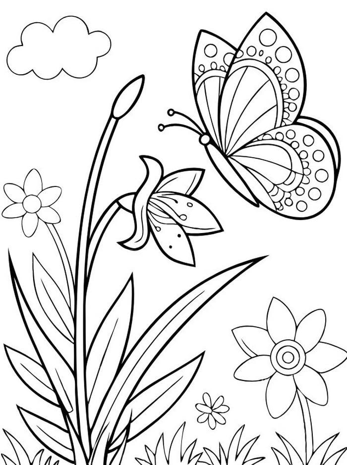 hình vẽ bướm nét to cho bé dễ tô màu